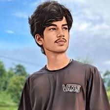 Niz Gamer